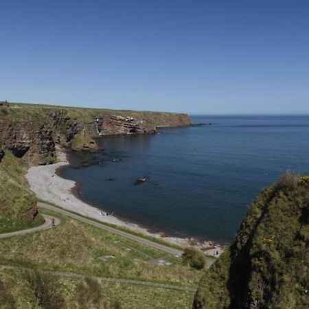 Clifftop Cottage Arbroath Ngoại thất bức ảnh